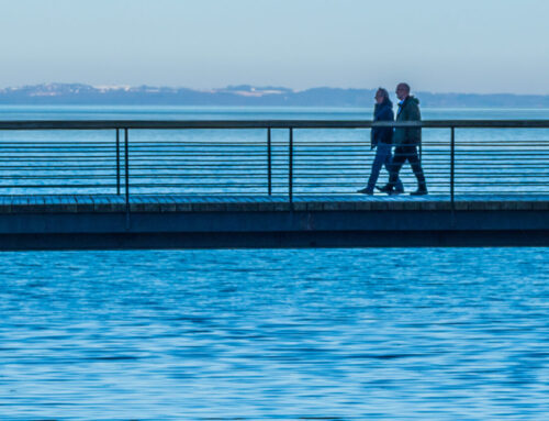 Bronetværksmøde den 20. april 2026 – Aarhus
